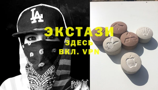 шишки Заводоуковск