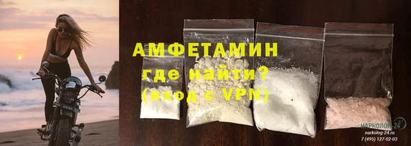 шишки Заводоуковск
