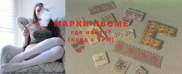 шишки Заводоуковск