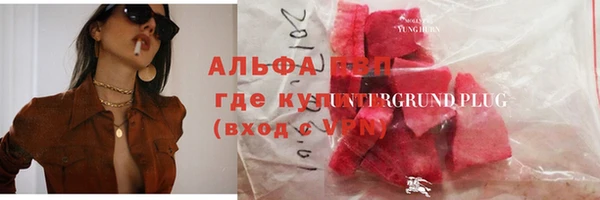 шишки Заводоуковск