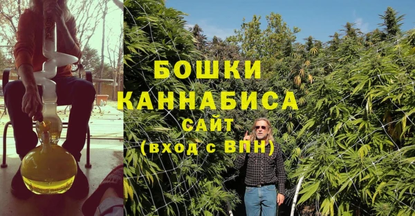 шишки Заводоуковск