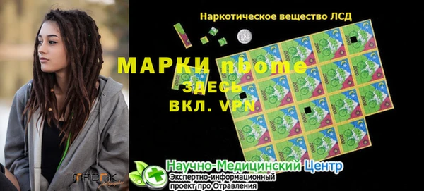 шишки Заводоуковск