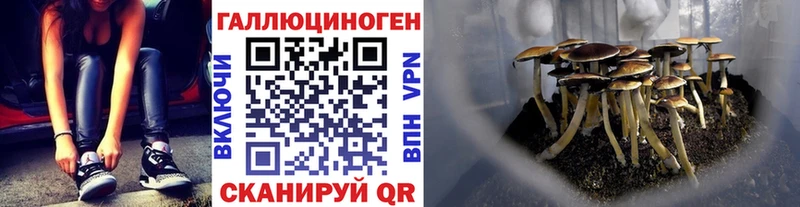 Псилоцибиновые грибы MAGIC MUSHROOMS  Купить  Любань 